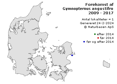 Gymnopternus angustifrons - udbredelseskort
