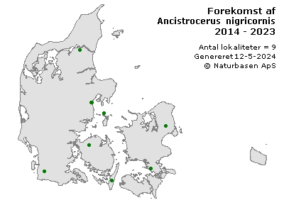 Ancistrocerus nigricornis - udbredelseskort