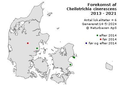 Cheilotrichia cinerascens - udbredelseskort