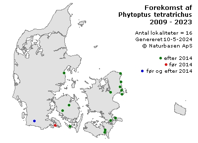 Phytoptus tetratrichus - udbredelseskort