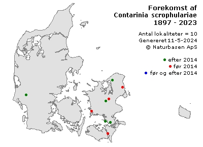 Contarinia scrophulariae - udbredelseskort