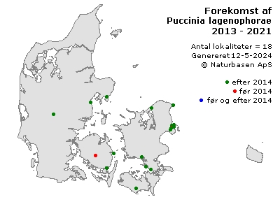 Puccinia lagenophorae - udbredelseskort