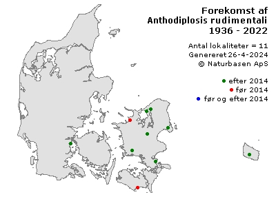 Anthodiplosis rudimentalis - udbredelseskort