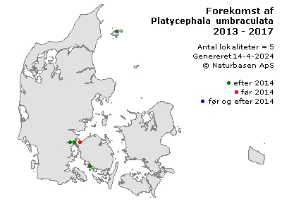 Platycephala umbraculata - udbredelseskort