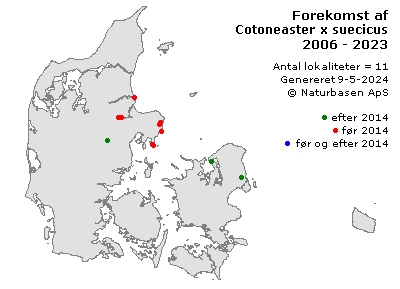 Cotoneaster x suecicus - udbredelseskort