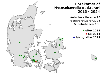 Mycosphaerella podagrariae - udbredelseskort