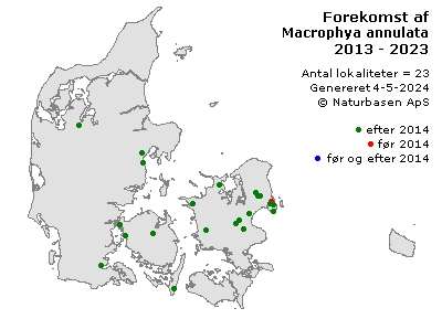 Macrophya annulata - udbredelseskort