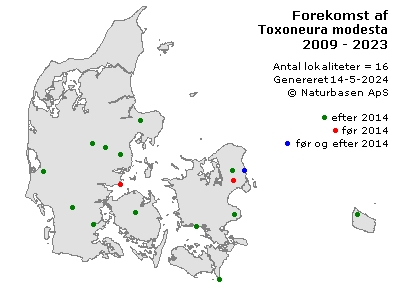 Toxoneura modesta - udbredelseskort