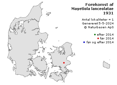 Mayetiola lanceolatae - udbredelseskort