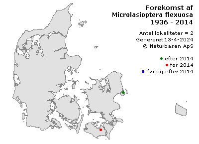 Microlasioptera flexuosa - udbredelseskort