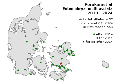 Entomobrya multifasciata - udbredelseskort