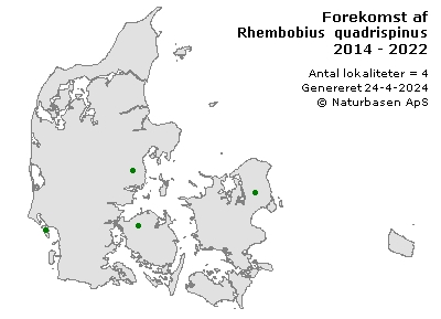Rhembobius quadrispinus - udbredelseskort