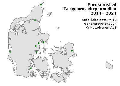 Tachyporus chrysomelinus - udbredelseskort