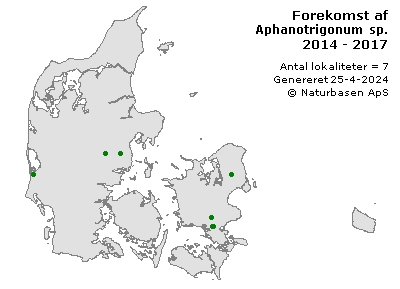 Aphanotrigonum sp. - udbredelseskort