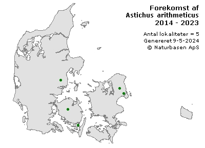 Astichus arithmeticus - udbredelseskort