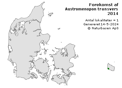 Austromenopon transversum - udbredelseskort