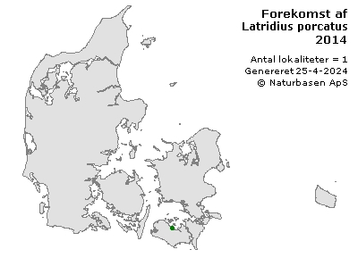 Latridius porcatus - udbredelseskort
