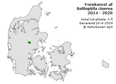 Bolitophila cinerea - udbredelseskort