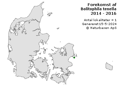 Bolitophila tenella - udbredelseskort