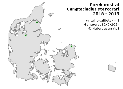 Camptocladius stercorarius - udbredelseskort