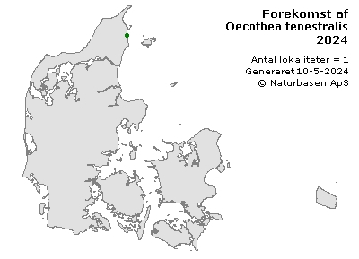 Oecothea fenestralis - udbredelseskort