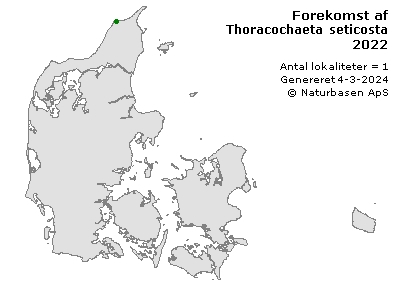 Thoracochaeta seticosta - udbredelseskort