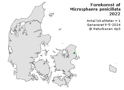 Microsphaera penicillata - udbredelseskort