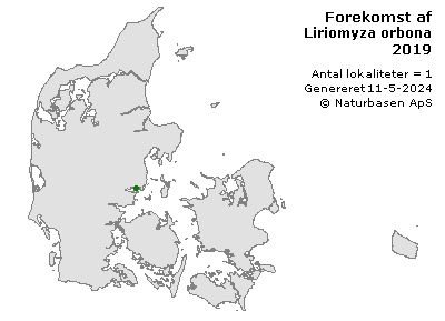 Liriomyza orbona - udbredelseskort