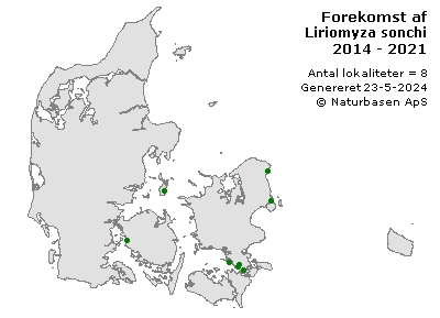 Liriomyza sonchi - udbredelseskort