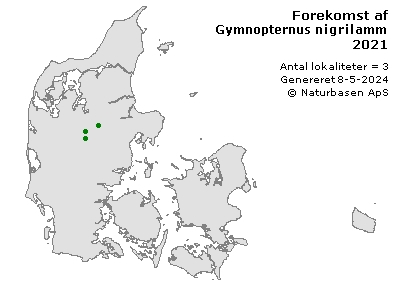 Gymnopternus nigrilammelatus - udbredelseskort
