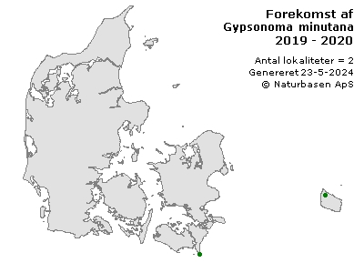 Gypsonoma minutana - udbredelseskort