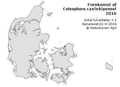 Coleophora caelebipennella - udbredelseskort