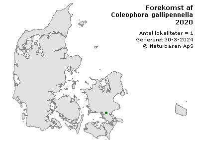 Coleophora gallipennella - udbredelseskort