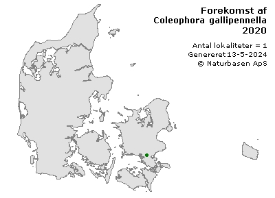 Coleophora gallipennella - udbredelseskort