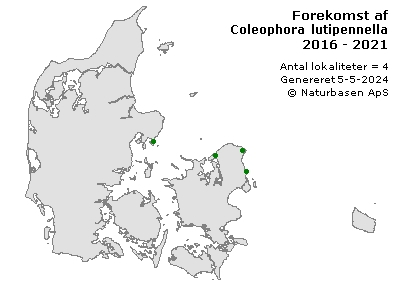 Coleophora lutipennella - udbredelseskort