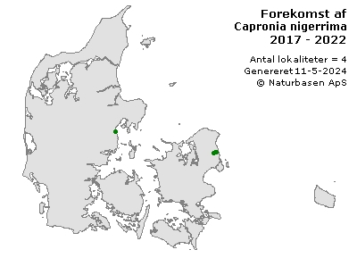 Capronia nigerrima - udbredelseskort