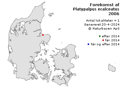Platypalpus ecalceatus - udbredelseskort