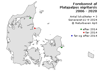 Platypalpus nigritarsis - udbredelseskort