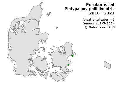 Platypalpus pallidiventris - udbredelseskort