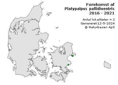 Platypalpus pallidiventris - udbredelseskort