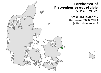 Platypalpus pseudofulvipes - udbredelseskort