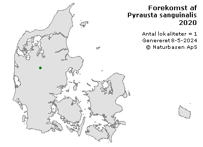 Pyrausta sanguinalis - udbredelseskort