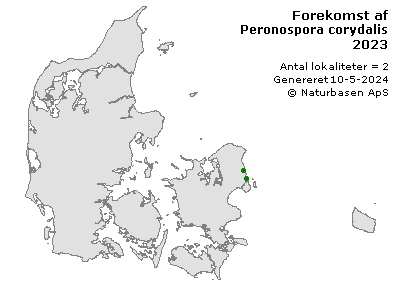 Peronospora corydalis - udbredelseskort