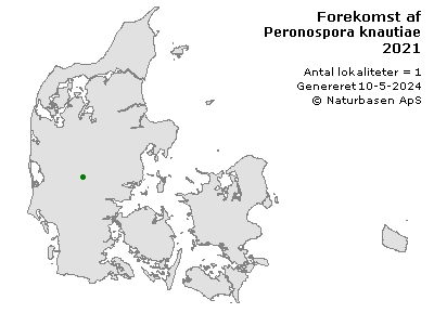 Peronospora knautiae - udbredelseskort