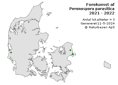 Peronospora parasitica - udbredelseskort