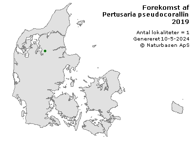 Pertusaria pseudocorallina - udbredelseskort
