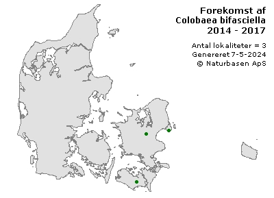 Colobaea bifasciella - udbredelseskort