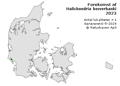 Halichondria bowerbanki - udbredelseskort