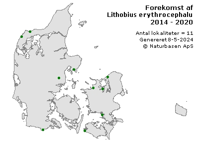Lithobius erythrocephalus - udbredelseskort