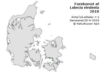 Lobesia virulenta - udbredelseskort
